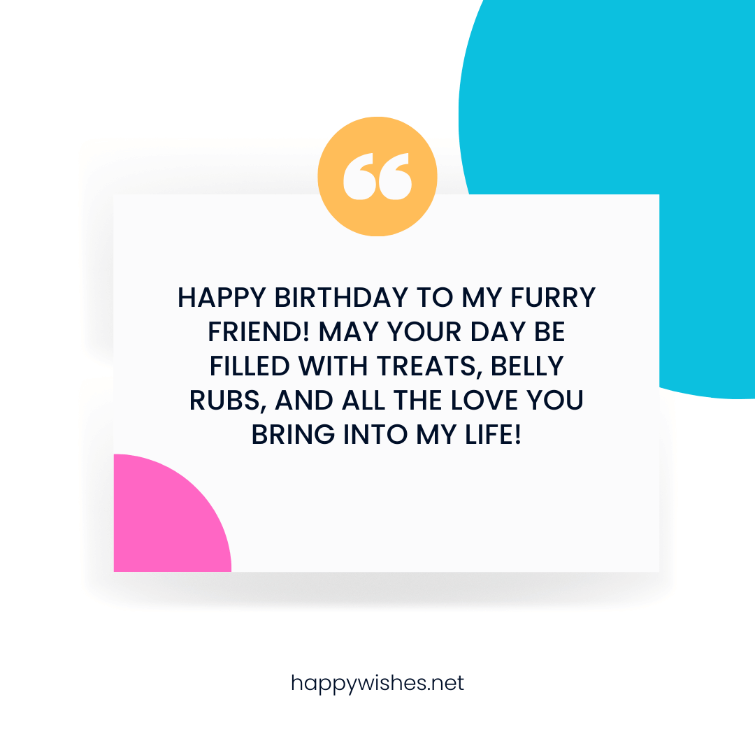 188+ Birthday Wishes for Pet 1 Birthday Greetings for Pet